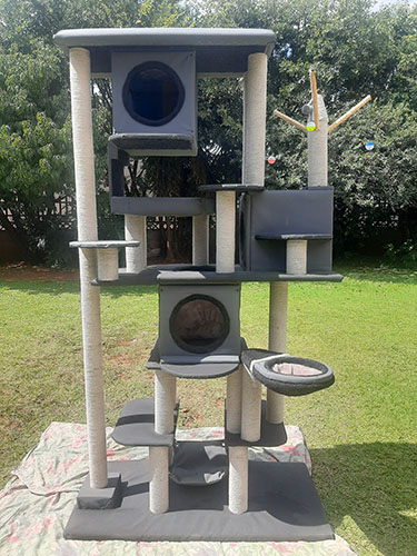 outdoor-cat-scratchers-posts4claws